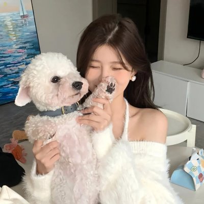 再见,我的新郎